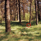 Image for article titled See If You Can Spot The Camouflaged Snipers In These Pictures